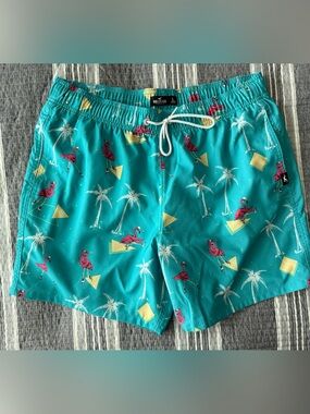 Hollister Teal Swim Trunks with Pink Flamingo Print